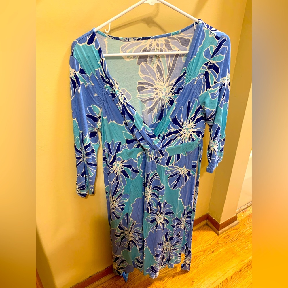 Liz Lange Maternity Dress